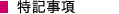 特記事項