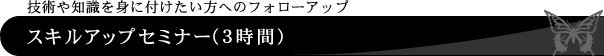 技術や知識を身に付けたい方へのフォローアップ【スキルアップセミナー（3時間）】